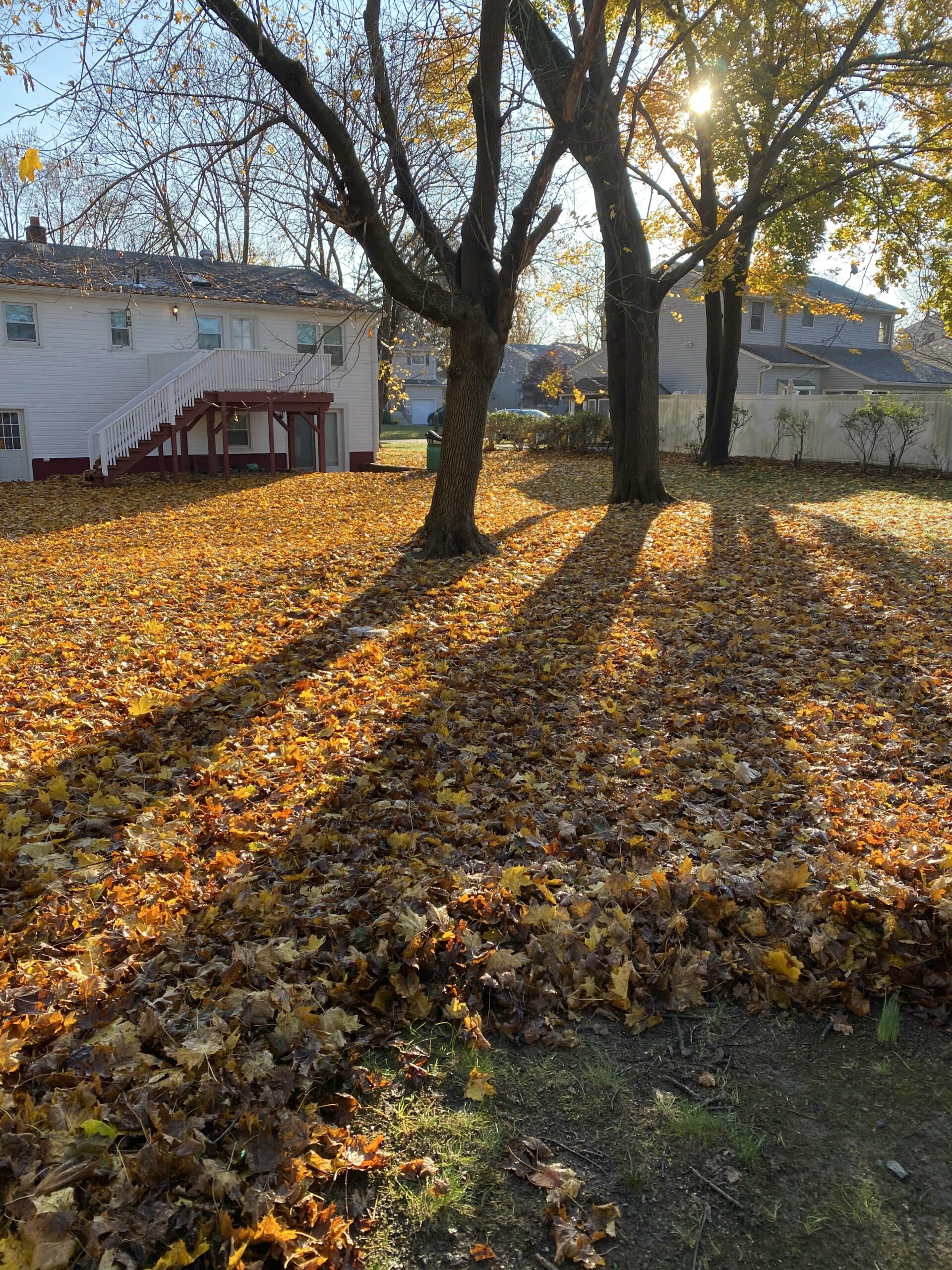 Fall Cleanups Pequannock NJ