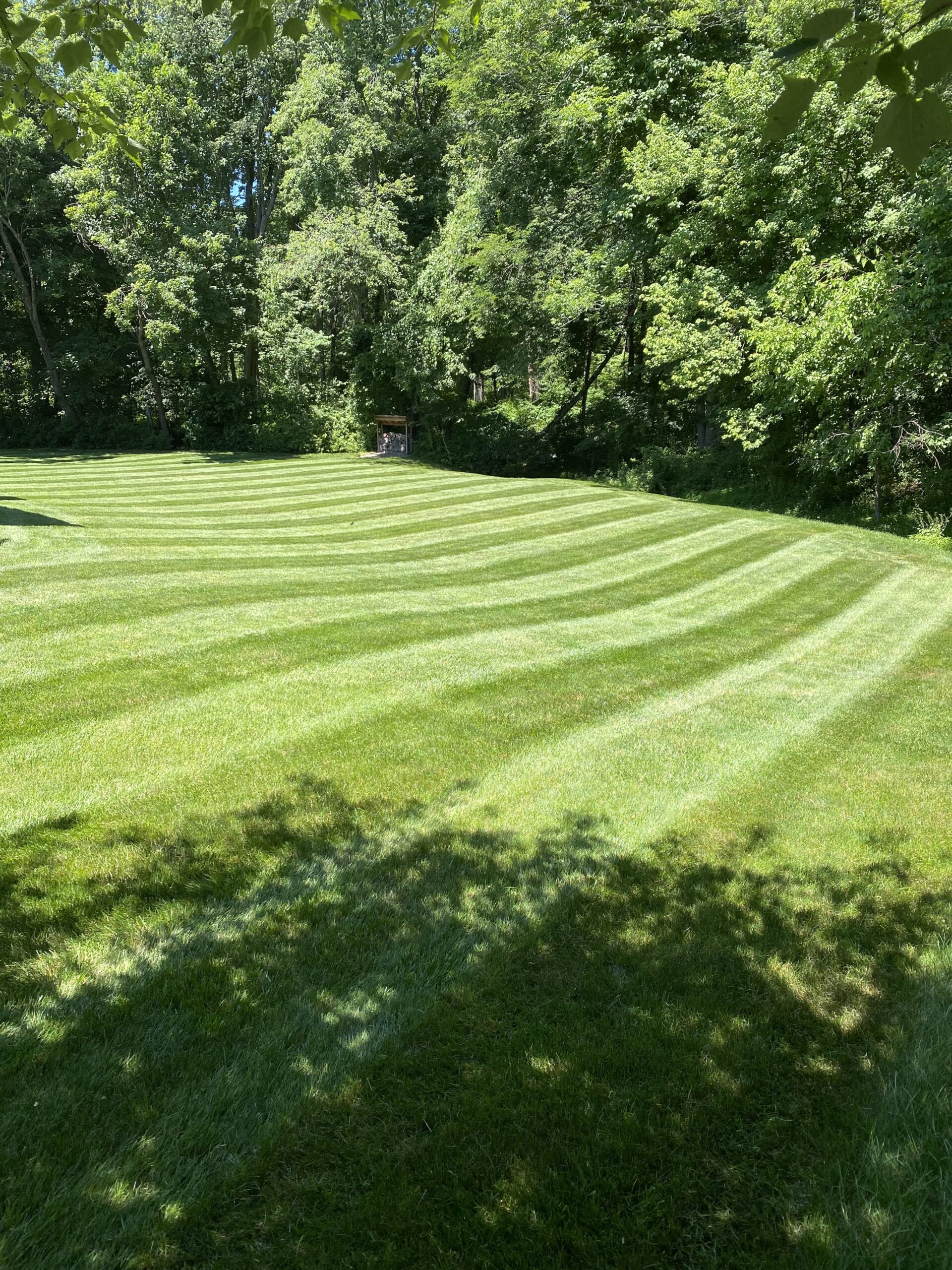 Lawn Mowing Services in Pequannock and Pompton Plains NJ